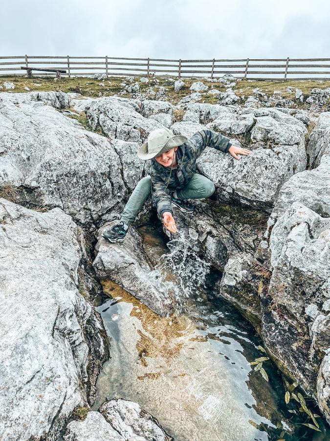 Vila Petunija Sjenica Eksteriør billede